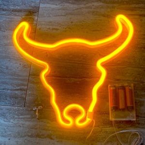 Battery operated LED bull light